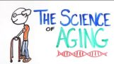 Věda za stárnutí