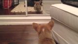He saw himself in the mirror for the first time