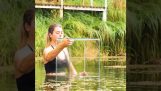Tour à poissons dans un étang