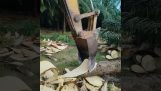 Copeaux du tronc d'un arbre