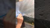 Pintar gotas de agua en un parabrisas