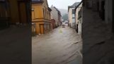 人々は洪水の間に消防士を救助します (ドイツ)