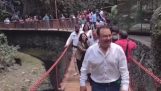 Colapso de una pasarela colgante durante su inauguración (México)
