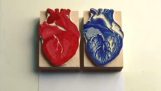 Tegningen av et hjerte med to pakninger
