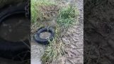 Unclogging a pipe with a tire