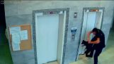 A policeman rescues a dog whose leash got caught in the elevator