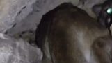 Πεζοπόρος ακούει ένα θόρυβο μέσα σε μια σπηλιά