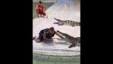 A krokodil harap a karját egy edző (Thaiföld)
