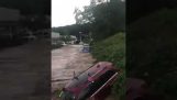 Flooded river carries cars (New Jersey)