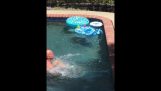 Little boy pushes brother in pool