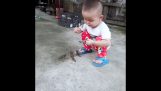 A child feeds baby birds