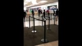 Apple store being robbed in Santa Rosa Plaza