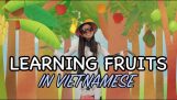 How to pronounce fruits in Vietnamese