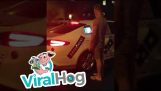 Автономное Домино автомобиль доставляет пиццу