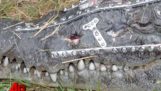 Robo Croc: krokodil repareras efter trafikolycka