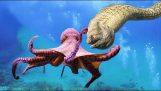Octopus vs țipari Moray