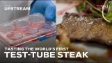 Pierwsza degustacja stek z probówki na świecie