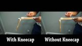 The importance of the kneecap