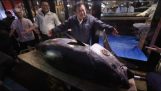 日本: 金槍魚出售2700000歐元拍賣