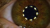 Pupil Constricting in Slow Motion