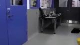 A robot opens a door (Parody)