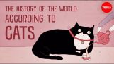 The history of the world according to cats