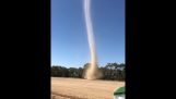 Um tornado de poeira em um campo