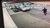Homem algemado cai fora do carro da polícia e tenta fugir