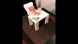 Romantic dinner with a hamster