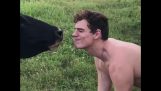 El hombre recibe un beso de una vaca