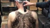 Grooming a mans back hair into vest