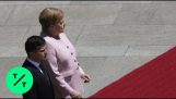 Angela Merkel ravistamalla seremoniassa