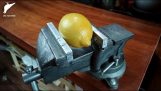 Haciendo preservada Limones en el taller