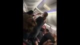 औरत एक विमान पर अपने पति के सिर पर एक लैपटॉप फेंकता