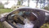 A man lives with bees in his car