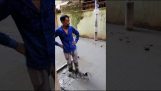 Cão passa através do cimento molhado