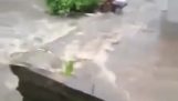 Muž šetří psa z povodní