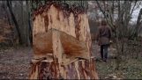 Как викингите режат големи дървета?