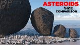 Storleksjämförelse asteroidon