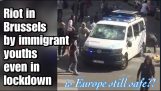 Riot in Brussels – Youth Immigrants break a police car 12/4/2020