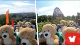 Teddy bears in a roller coaster