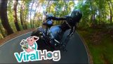 Accident on a motorcycle filmed with 360° camera