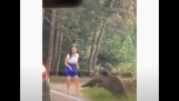 Kobieta chciała zrobić zdjęcie obok dzikiego niedźwiedzia