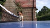 A dog referees a ping pong match