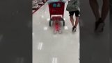 A baby pulled by a cart