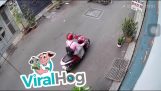 Woman on scooter tries to steal a plant
