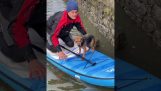 Paddleboarder는 런던의 템스에서 개를 구합니다.