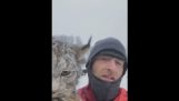 Lynx get caught after killing chickens