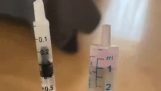 The cat developed a reflex on syringes