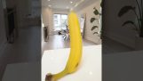Měnící se v banán